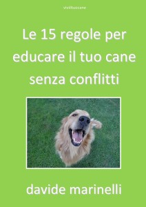 le15regole_copertina